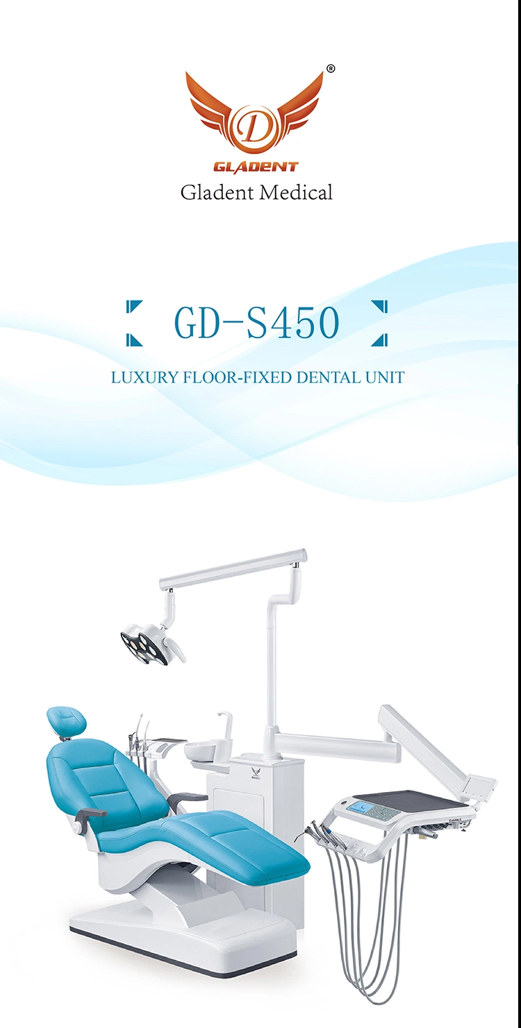 CE ISO Approved Dental LED Oral Light Lamp for Dental Unit Chair